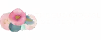 The Sugar Pearl Dessert Co